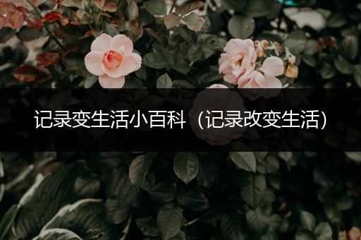 记录变生活小百科（记录改变生活）