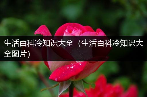 生活百科冷知识大全（生活百科冷知识大全图片）