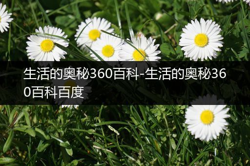 生活的奥秘360百科-生活的奥秘360百科百度