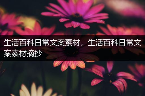 生活百科日常文案素材，生活百科日常文案素材摘抄