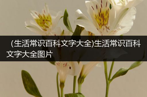 （生活常识百科文字大全)生活常识百科文字大全图片