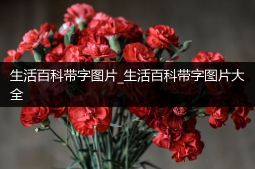 生活百科带字图片_生活百科带字图片大全