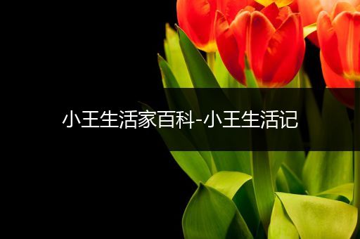 小王生活家百科-小王生活记