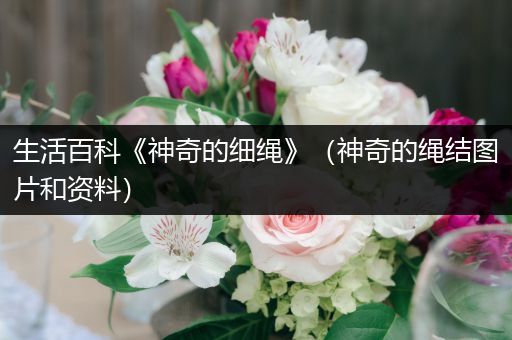 生活百科《神奇的细绳》（神奇的绳结图片和资料）