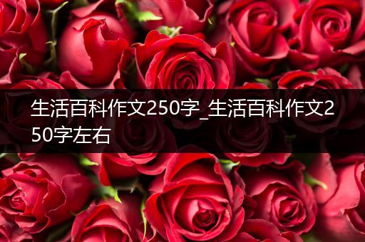 生活百科作文250字_生活百科作文250字左右