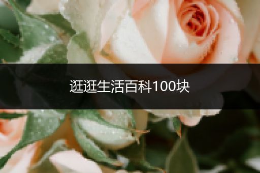 逛逛生活百科100块