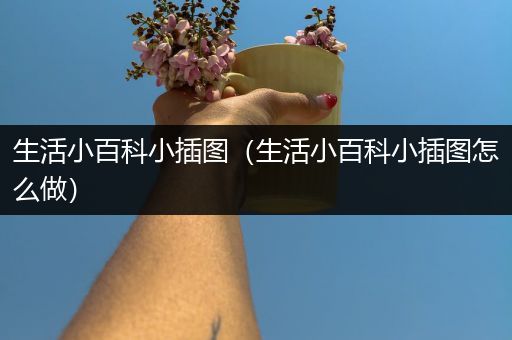 生活小百科小插图（生活小百科小插图怎么做）