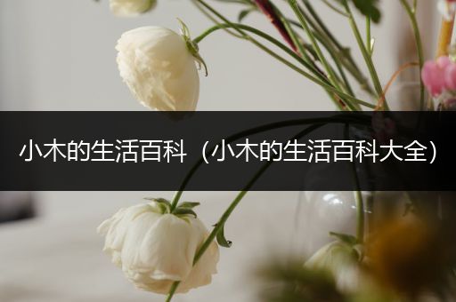 小木的生活百科（小木的生活百科大全）