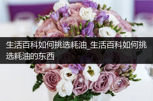 生活百科如何挑选耗油_生活百科如何挑选耗油的东西