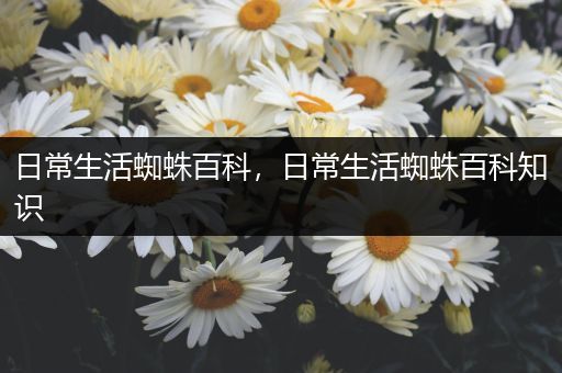 日常生活蜘蛛百科，日常生活蜘蛛百科知识