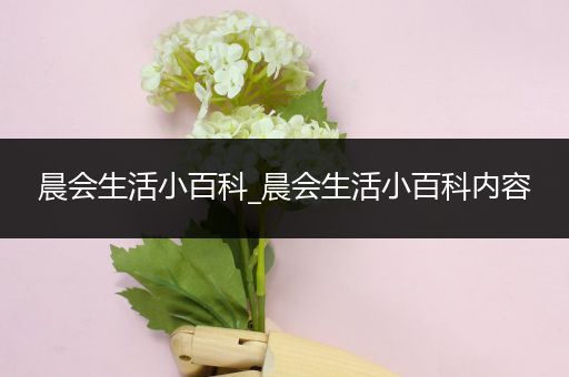 晨会生活小百科_晨会生活小百科内容