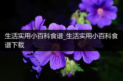 生活实用小百科食谱_生活实用小百科食谱下载