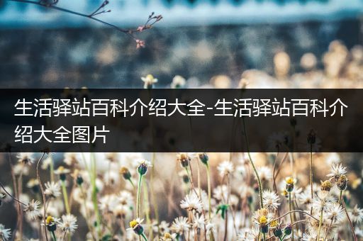 生活驿站百科介绍大全-生活驿站百科介绍大全图片