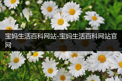 宝妈生活百科网站-宝妈生活百科网站官网