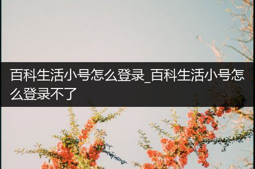 百科生活小号怎么登录_百科生活小号怎么登录不了