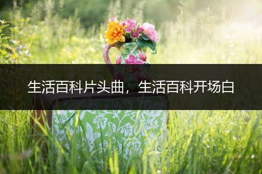 生活百科片头曲，生活百科开场白