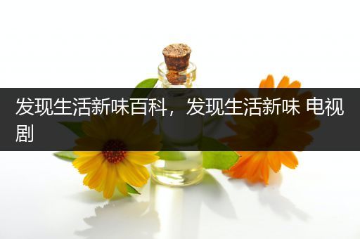 发现生活新味百科，发现生活新味 电视剧