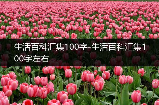 生活百科汇集100字-生活百科汇集100字左右