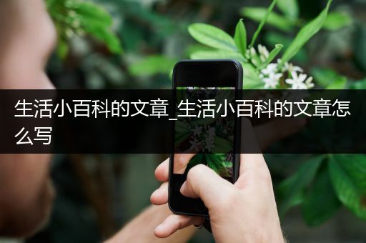 生活小百科的文章_生活小百科的文章怎么写