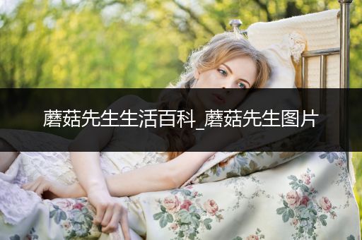 蘑菇先生生活百科_蘑菇先生图片