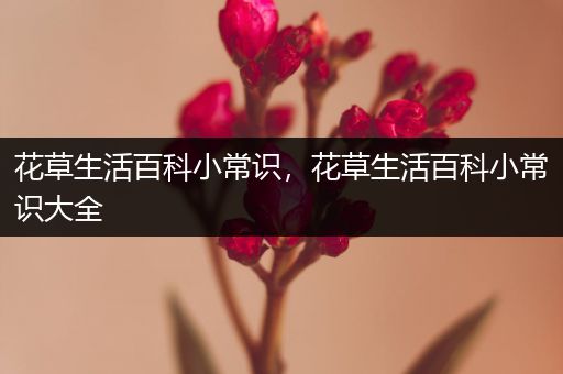 花草生活百科小常识，花草生活百科小常识大全