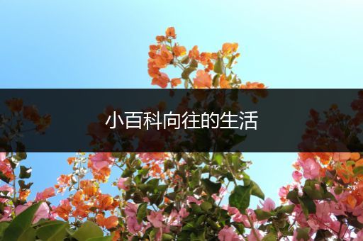 小百科向往的生活