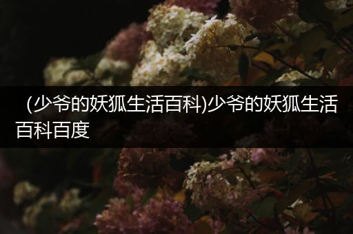 （少爷的妖狐生活百科)少爷的妖狐生活百科百度