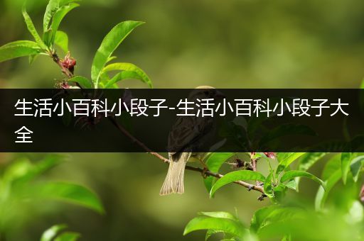 生活小百科小段子-生活小百科小段子大全