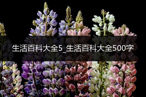 生活百科大全5_生活百科大全500字