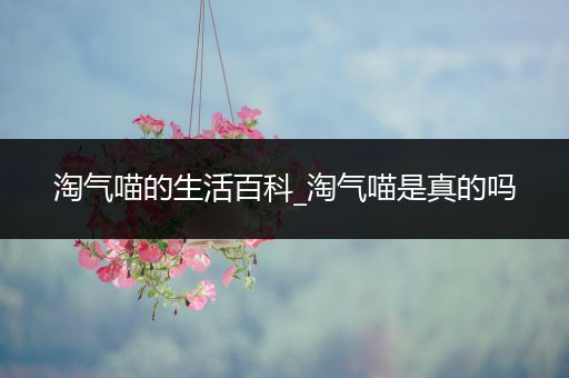 淘气喵的生活百科_淘气喵是真的吗