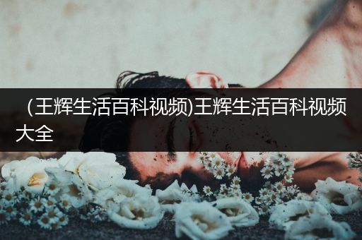 （王辉生活百科视频)王辉生活百科视频大全