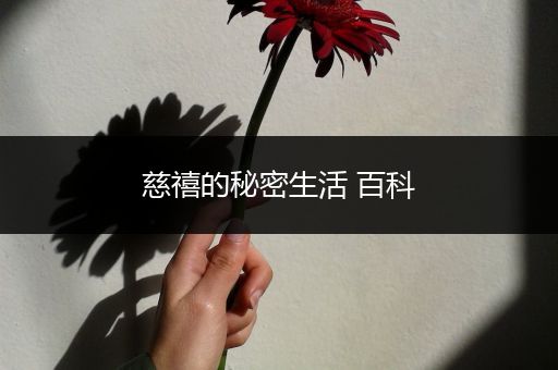 慈禧的秘密生活 百科