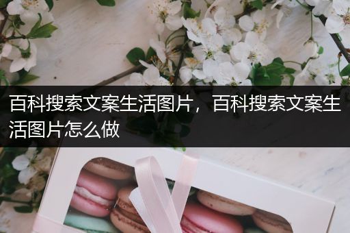 百科搜索文案生活图片，百科搜索文案生活图片怎么做