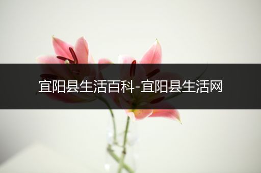 宜阳县生活百科-宜阳县生活网