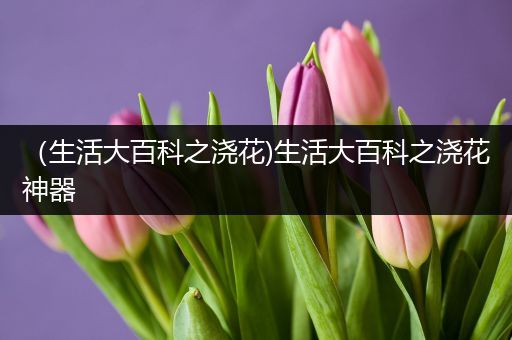 （生活大百科之浇花)生活大百科之浇花神器