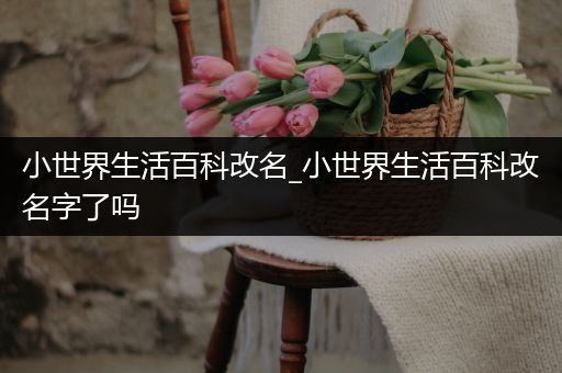 小世界生活百科改名_小世界生活百科改名字了吗