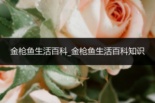 金枪鱼生活百科_金枪鱼生活百科知识