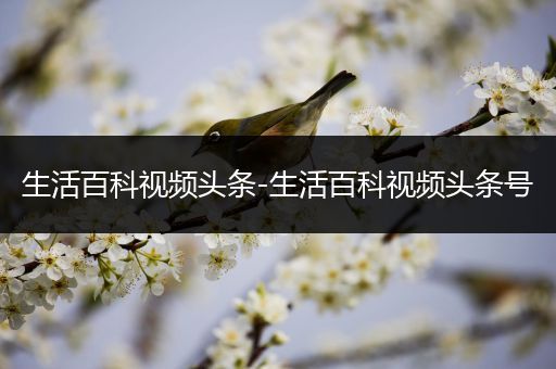 生活百科视频头条-生活百科视频头条号