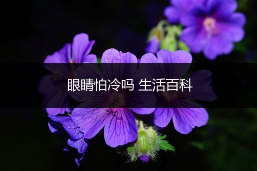 眼睛怕冷吗 生活百科