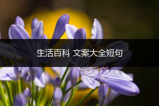 生活百科 文案大全短句