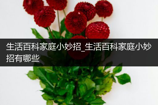 生活百科家庭小妙招_生活百科家庭小妙招有哪些