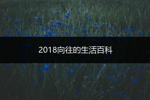 2018向往的生活百科