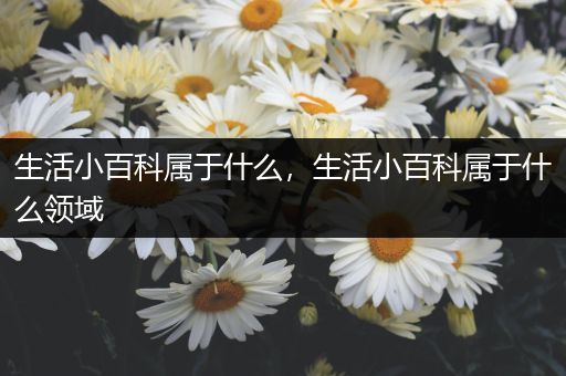 生活小百科属于什么，生活小百科属于什么领域