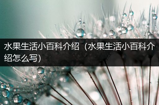 水果生活小百科介绍（水果生活小百科介绍怎么写）