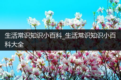 生活常识知识小百科_生活常识知识小百科大全