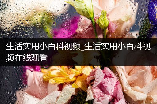 生活实用小百科视频_生活实用小百科视频在线观看