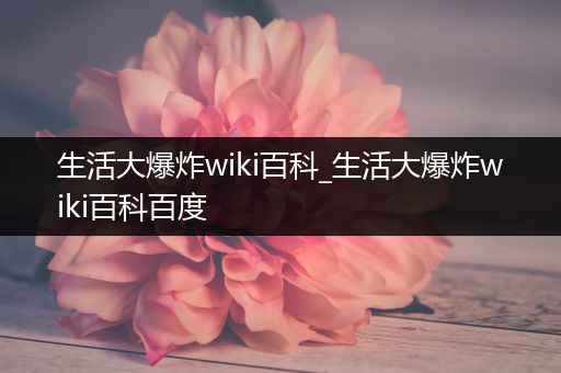 生活大爆炸wiki百科_生活大爆炸wiki百科百度