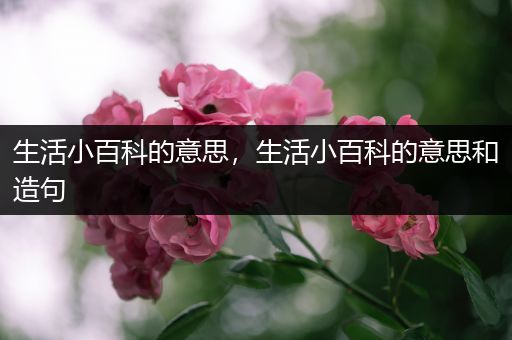 生活小百科的意思，生活小百科的意思和造句