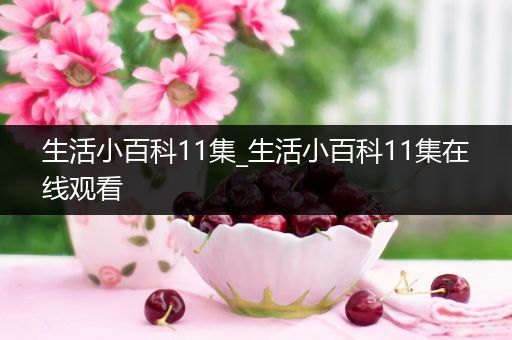 生活小百科11集_生活小百科11集在线观看