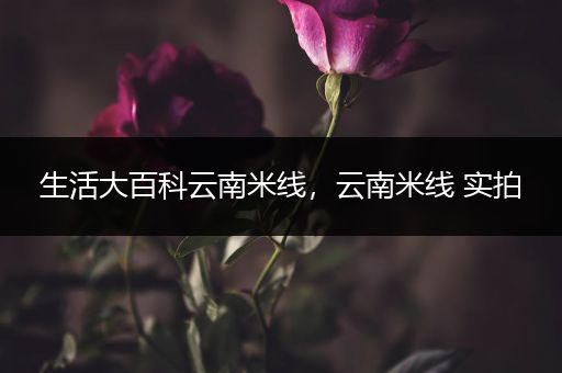 生活大百科云南米线，云南米线 实拍